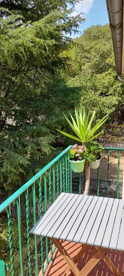 T2 Tout Confort Amélie-les-Bains-Palalda Exteriör bild
