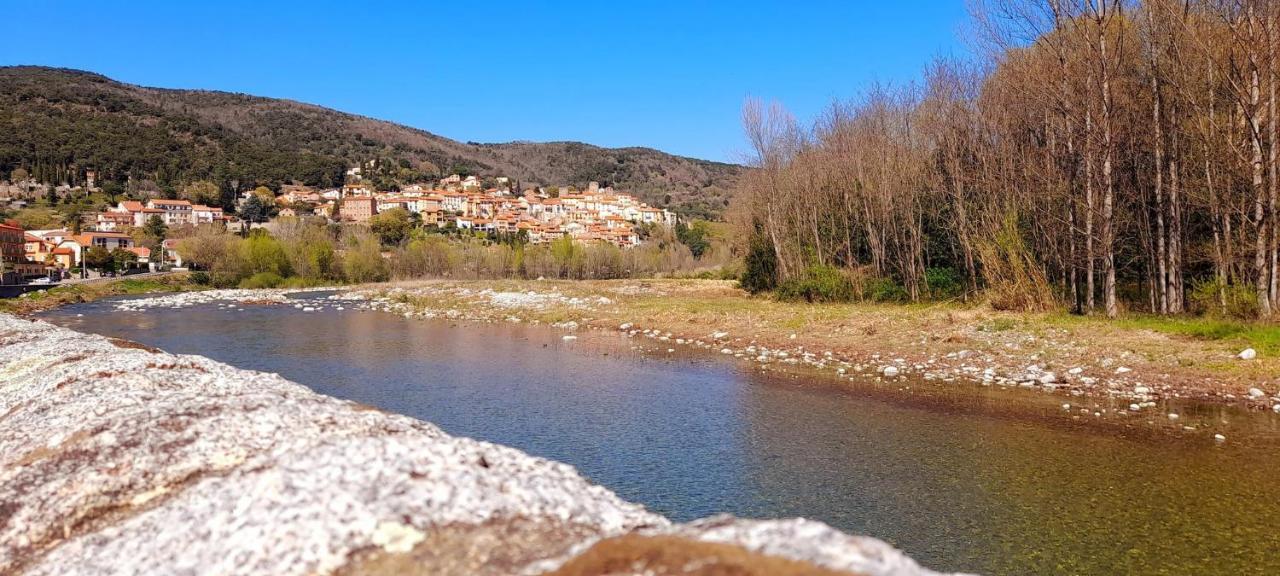 T2 Tout Confort Amélie-les-Bains-Palalda Exteriör bild