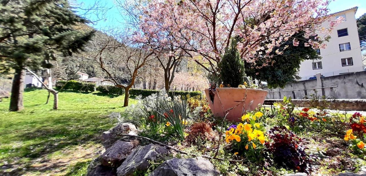 T2 Tout Confort Amélie-les-Bains-Palalda Exteriör bild