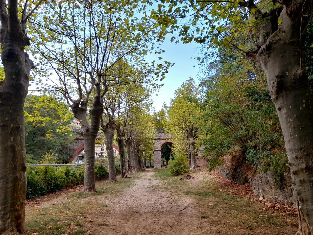 T2 Tout Confort Amélie-les-Bains-Palalda Exteriör bild