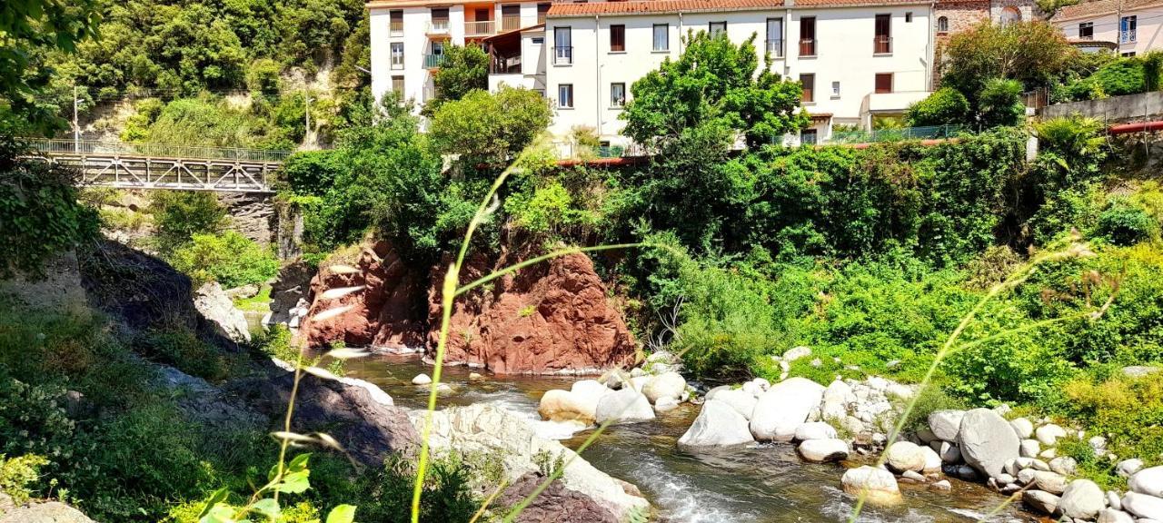 T2 Tout Confort Amélie-les-Bains-Palalda Exteriör bild